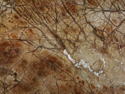 Marbles - RAINFOREST BROWN