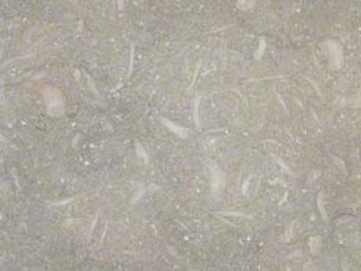 Quartz - Sea Grass